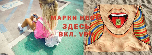 стаф Белокуриха