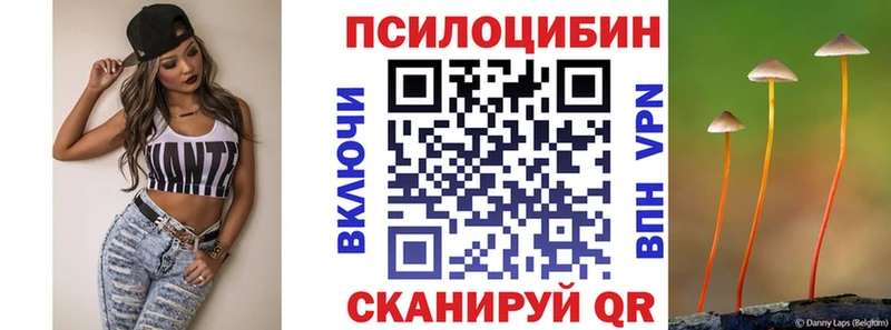 Купить закладки  Струнино  Псилоцибиновые грибы мицелий 